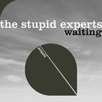 cover: The Stupid Experts - Waiting