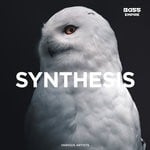 cover: Various - Synthesis