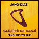 cover: Jako Diaz - Endless Walls