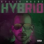 cover: Collie Buddz - Hybrid (Explicit)