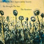 cover: Delia Derbyshire Appreciation Society - She Brought The Sun (The Remixes)