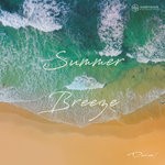 cover: Dariusx - Summer Breeze