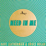 cover: Dave Leatherman & Bruce Nolan - Need In Me