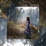 cover: Cal Jamma - Part Of You