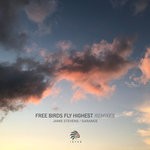 cover: Mario Neha - Free Birds Fly Highest Remix Session 01