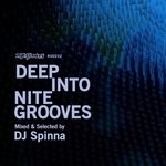 cover: DJ Spinna|VARIOUS - Deep Into Nite Grooves