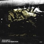 cover: Alquimista - Forgive The Perfection