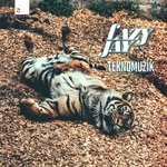 cover: Lazy Jay - Teknomuzik