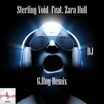 cover: Sterling Void - DJ