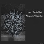 cover: Alexander Volosnikov - Lotus