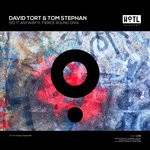 cover: David Tort|Fierce Ruling Diva|Tom Stephan - Do It Anyway