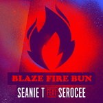 cover: Seanie T & Serocee - Blaze Fire Bun