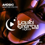 cover: Andski - What Did You Do