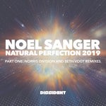 cover: Noel Sanger - Natural Perfection (2019 Remixes - Part 1)