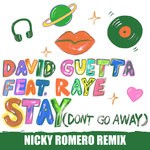 cover: David Guetta|Raye - Stay (Don't Go Away) (Nicky Romero Remix)