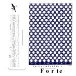 cover: Forte - Intermissions