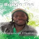 cover: Bongo Tee - Permanent Damage