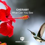 cover: Cheramy - What Can You See