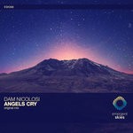 cover: Dam Nicolosi - Angels Cry