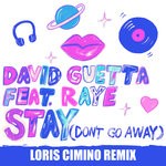 cover: David Guetta|Raye - Stay (Don't Go Away)