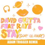 cover: David Guetta|Raye - Stay (Don't Go Away)