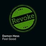 cover: Damon Hess - Feel Good