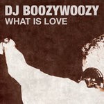 cover: Dj Boozywoozy - What Is Love