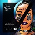 cover: Tim Taylor (uk) - Hot For You