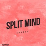 cover: Cracco - Split Mind