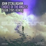 cover: John O'callaghan - Choice Of The Angels (Sean Tyas Remix)