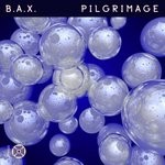 cover: Bax - Pilgrimage