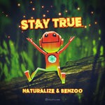 cover: Benzoo|Naturalize - Stay True