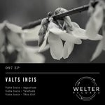 cover: Valts Incis - [WELTER097]