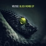 cover: Voltage - Black Mamba