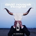 cover: David Novacek & Incognet - Loser Hit