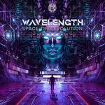 cover: Wavelength - Space Time Evolution