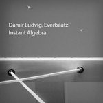 cover: Damir Ludvig|Everbeatz - Instant Algebra