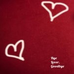 cover: Dung Beetle Music - Bye Lover, Goodbye