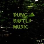 cover: Dung Beetle Music - What Have We Done