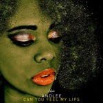 cover: Andlee - Can You Feel My Lips