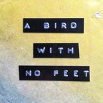 cover: Jas Shaw - EXCOP7 - A Bird With No Feet