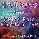 cover: Awlad Bara - Kingdom EP