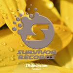 cover: Slidedream - Slinker