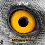 cover: Allchord - Eagle Eye