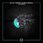 cover: David Temessi - Acid Warrior