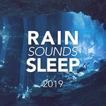 cover: Rain Sounds Sleep - Rain Sounds Sleep 2019