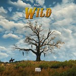 cover: Aleatory - Wild