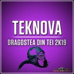 cover: Teknova - Dragostea Din Tei 2K19