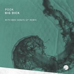 cover: Pook - Big Dick