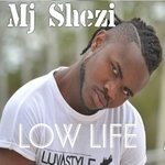 cover: Mjshezi - Low Life